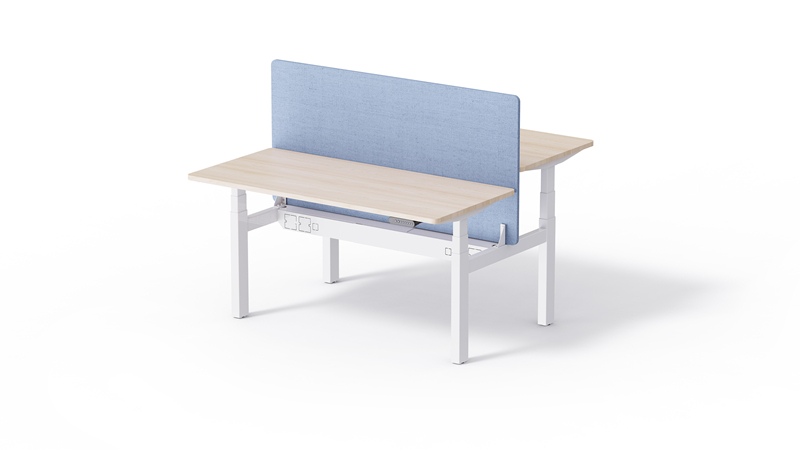 Dual workstations